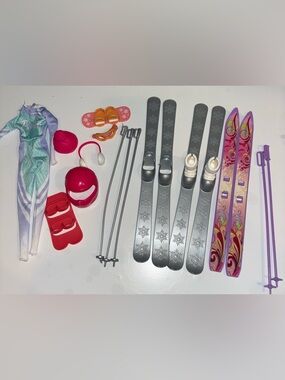 Barbie Winter Ski Playset Accessories